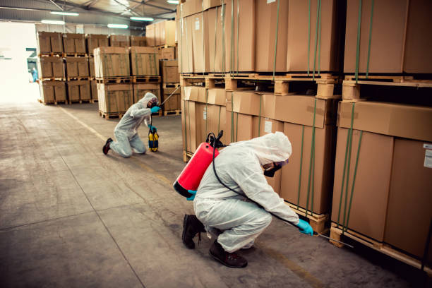 Best Best Pest Control Companies  in Eleanor, WV