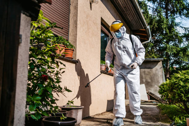 Best Termite Control Services  in Eleanor, WV