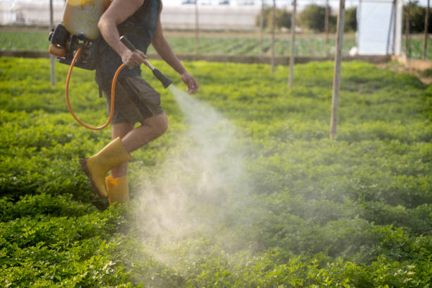 Best Best Pest Control Companies  in Eleanor, WV