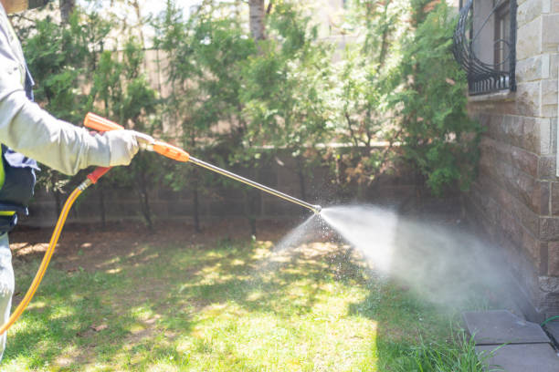 Best Pest Control for Businesses  in Eleanor, WV