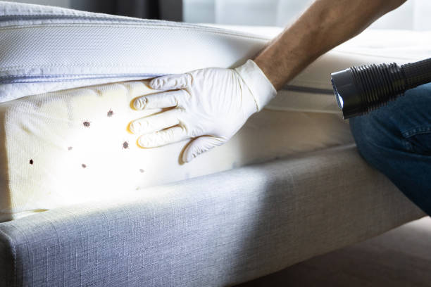 Best Exterminator Services  in Eleanor, WV