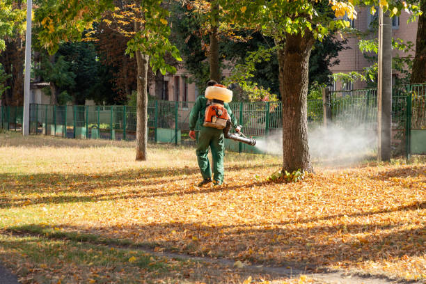 Best Mosquito Control Services  in Eleanor, WV