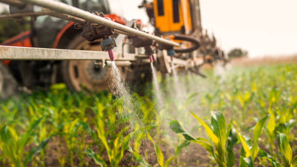 Pest Prevention Services in Eleanor, WV